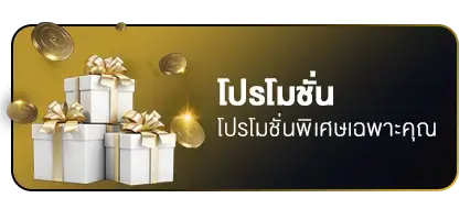 โปรโมชั่น